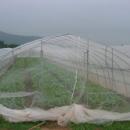 Greenhouse covers
