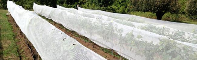 Fruit Tree Netting - Smart Net Systems - Industrial Netting Systems
