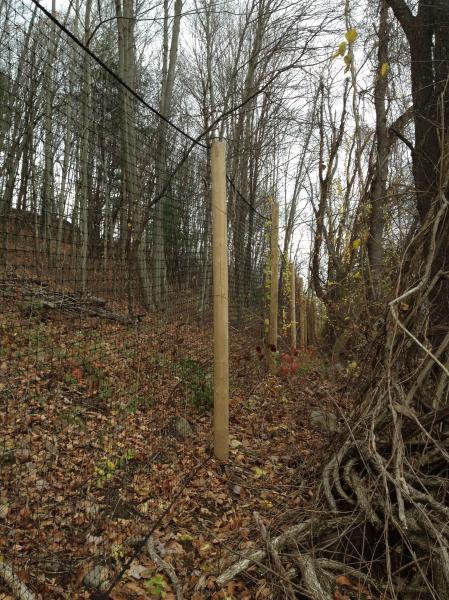 Deer Fencing - Smart Net Systems - Industrial Netting Systems
