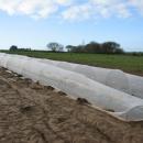 Tunnel netting for crop protection against thrips and all small insects