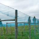 Vineyard Netting